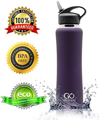 GO Active Insulated Stainless Steel Water Bottle with Premium Straw Lid. (24oz, Dark Purple)