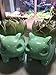 Orililory Funny Succulent Planters Bulbasaur Flower Pot Plant Display Flowers Vase Color Green