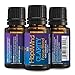 Focus Essential Oil Blend - Clarity by HopeWind Health - 100% Pure Aromatherapy Therapeutic Grade, Undiluted - Natural Brain Aid, Mental Aid - Full 15ml/.5oz