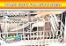 Professor Amos' Fast PM (Preventative Maintenance) 16 oz. Powder Drain Maintenance Garbage Disposal Dishwasher Washing Machine All Drain Lines