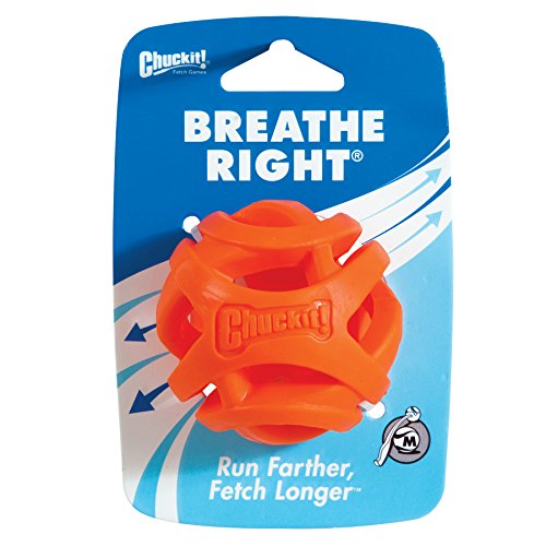 Chuckit! Breathe Right Fetch Ball
