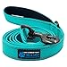 Max and Neo Reflective Nylon Dog Leash - We Donate a Leash to a Dog Rescue for Every One Sold (Teal, 6x1)