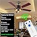 YukiHalu Universal Ceiling Fan Remote Control kit, Natural Wind Mode, 3 Fan Speed 4 Timing, Compatible with Hunter/Harbor Breeze/Westinghouse/Honeywell and Others