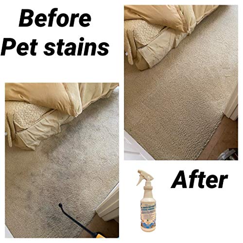 Dr. Carpet Pet Stain Removal Formula Pricepulse
