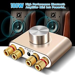 Elegiant Mini Bluetooth Verstärker Hifi Stereo Audio Wireless Bluetooth