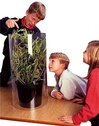 Monarch Rearing Kit BF 200