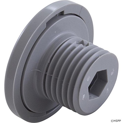 Balboa Water Group Jet Intl, BWG/GG Micro Pulse, 1-5/8 fd, Twin Roto, Smth, Gry