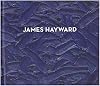 James Hayward (6 September-6 October 2018, Miles McEnergy Gallery)