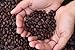 Bristol Coffee Dark Roast Whole Bean Coffee - Single Origin Premium Specialty - Highest Quality Nicaraguan Coffee Beans - 100% Arabica - Sustainably Grown - Non-GMO - (12 oz. Whole Bean)
