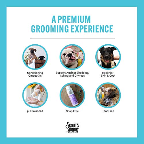 SKOUT'S HONOR: Probiotic Pet Shampoo - for Naturally Balanced and Healthier Looking Skin and Coat
