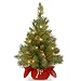 National Tree 24 Inch Majestic Fir Christmas Tree with 35 Clear Lights in Burgundy Cloth Bag (MJ3-24BGLO-1) primary