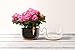 Blumat Classic Plant Watering Stakes - Self-Watering Insert for Indoor and Outdoor Plants - Automatic Slow Release Irrigation System for Potted Plants - Houseplant Care Device (25 Pack)