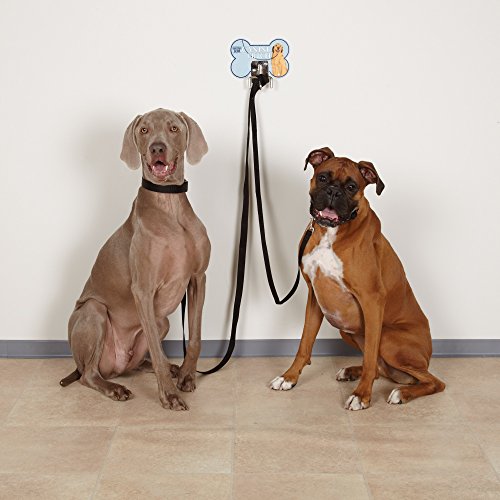 Guardian Gear Canine Hitches Unique and Practical Metal Dog Leash Hitches, Blue Retriever