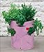 Tierra Garden 50-1060 Haxnicks Strawberry and Herb Patio Planter and Grow Bag, 2-Pack