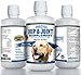 Paramount Pet Health Concentrated Liquid Glucosamine for Large Dogs, Infused with MSM, 5200mg Chondroitin & Glucosamine Liquid for Dogs Hip & Joint Supplement for Mobility & Comfort, 32 oz
