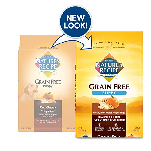 Nature’s Recipe Grain Free Chicken, Sweet Potato & Pumpkin Recipe, Dry