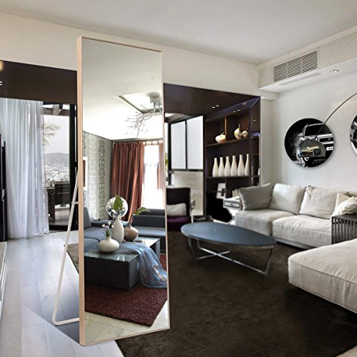 Full Length Mirror Large Floor Full Mirror (Gold,65"x24") Pricepulse