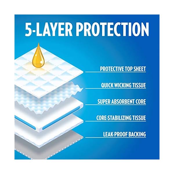 OUT! Go Here Absorbent Pet and Puppy Training Pads |100 Pads