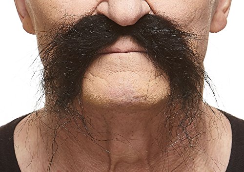 Realistic Fu Manchu mustache