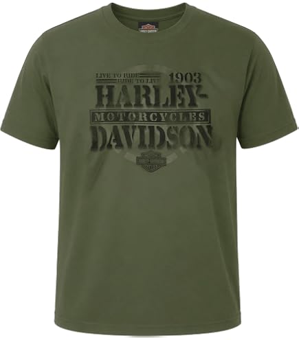 Harley-Davidson 熊Tシャツ USA製 XL グリーン Harley-Davidson Military, Overseas Tour Baghdad Afghanistan Black