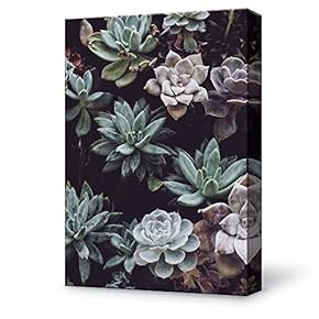 Canvas Wall Art Succulent Plants Office Canvas Painting Wall Poster Decor for Living Room Framed Home Decorations - 12x18 inches