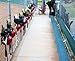 DOM Dugout Manager, Proven Perfect Solution for Softball and Baseball Players Equipment, Providing a Safe, Organized, Fun Dugout - Red