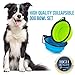 Starling's Collapsible Dog Travel Bowl - Water & Food Bowl Set By Silicone BPA Free & FDA Approved- W/D-Ring. Foldable, Portable - Ideal for Traveling, Hiking, Camping.