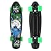 Merkapa Complete 22 inch Cruiser Skateboard for Youth, Beginners (Green)