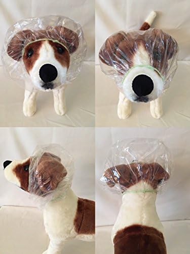 average cost of buying a dog