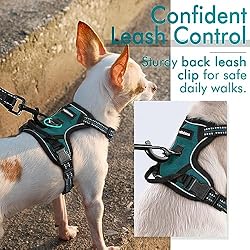 rabbitgoo Dog Harness, No-Pull Pet Harness with 2