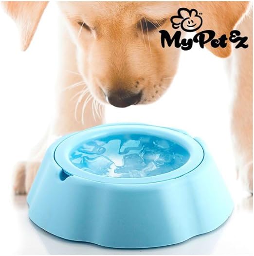 imac irene 4 bird cage