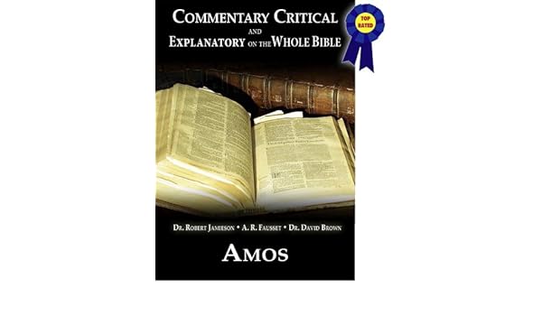 Commentary Critical And Explanatory Book Of Amos - 