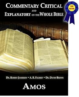 Commentary Critical And Explanatory Book Of Amos - 