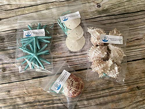 51Xiy5FDrjL 51Xiy5FDrjL