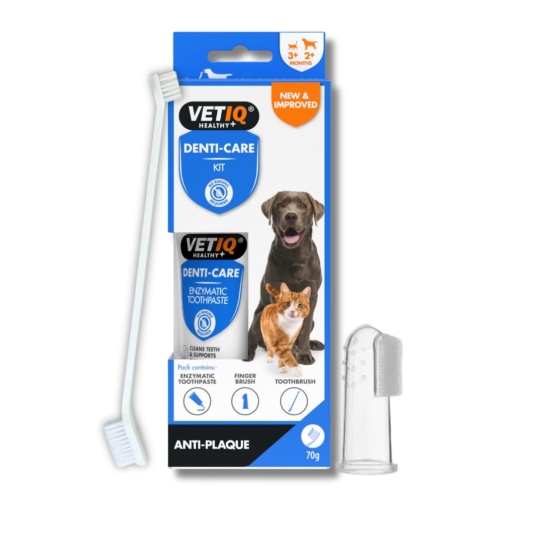 VETIQ Denti-Care Kit for Dogs 2+ Months & Cats 3+ Months Contains a Enzymatic Toothpaste to Help Fight Tartar & Reduce Dental Plaque, a Toothbrush & a Silicone Finger Sleeve, 70 g (Pack of 1) — image 1