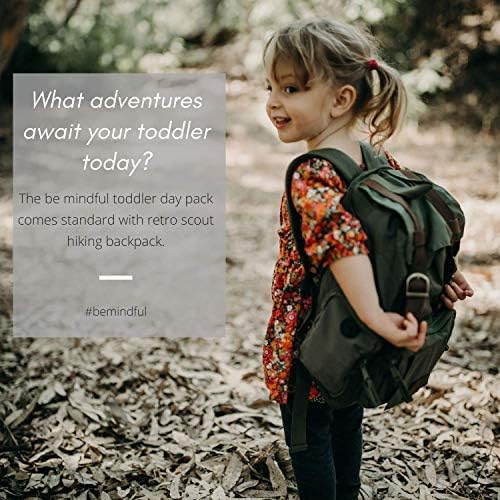 be mindful hiking carrier