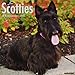 Just Scotties 2019 Wall Calendar (Dog Breed Calendar)