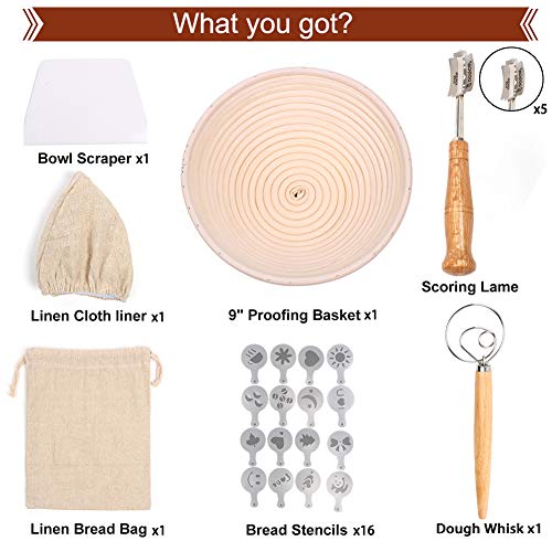 Mueller Austria Ultra Brew Thermal Coffee Maker, 10 cup (50oz) Carafe