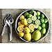 Just Add Summer - Kitchenlani - Best Lemon Squeezer - Premium Stainless Steel Manual Squeezer for Citrus, Lime & Lemons