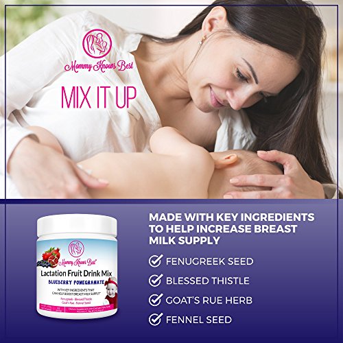 Lactation Supplement Fruit Drink Mix for Breastfeeding Mothers (Blueberry Pomegranate) - Boost Breast Milk Supply with Fenugreek, Goat's Rue, Blessed Thistle, and Fennel Seed - (21 Servings)