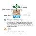 Vencer Self Watering Planter Pot(3 Pack) - for All House Plants,Herbs,African Violets,Succulents,Flowers or Start Seedlings,White,VF-038