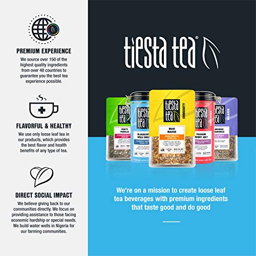 Tiesta Tea Blueberry Hibiscus Cold Brew Herbal Tea, Blueberry Wild