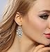 BriLove Women's Vintage Inspired Crystal Floral Chandelier Pierced Dangle Earrings Antique Gold-Tone Clear