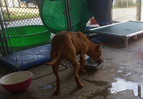 Automatic Self Filling Pet Waterer Bowl Connects To Garden Hose