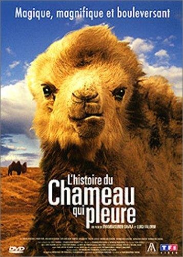 L'histoire Du Chameau Qui Pleure