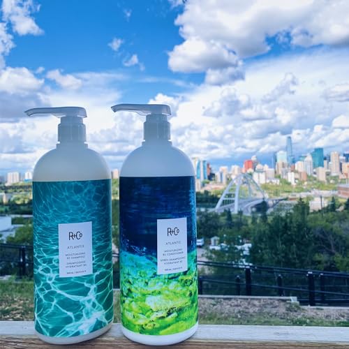 R+Co Atlantis Moisturizing B5 Shampoo | Shine + Tames Frizz + Intense Hydration | Vegan + Cruelty-Free |Vegan + Cruelty-Free