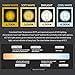 LOHAS 60W Equivalent LED Candelabra Bulb, E26 Light Bulb 5000K Daylight White, (6W Bulb) Halogen Bulbs Replacement, Candle Shape Bulb for Home Lighting,550 Lumen, Not Dimmable(3 Pack)