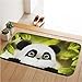 newplenty Doormat Entrance Floor Rug Indoor Mat Non-Slip Flannel for Bedroom Bathroom Living Room Kitchen Home Decorative 60x40CM (Panda)