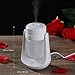 WINOMO USB Mini Humidifier, Cool Mist Essential Oil Diffuser Air Purifier Humidifier with 7 Color Changing LED, Ultra-quiet, Perfect Portable Solution for Home, Office, Car, Yoga (White-Type A)