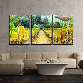 3 Piece Canvas Wall Art - Beautiful Autumn Landscape with Vineyards. Tuscany, Italy - Modern Home Art Stretched and Framed Ready to Hang - 16"x24"x3 Panels